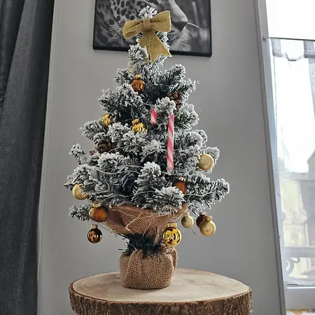 Les Z'amours Apartament *