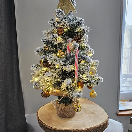 Les Z'amours Apartament