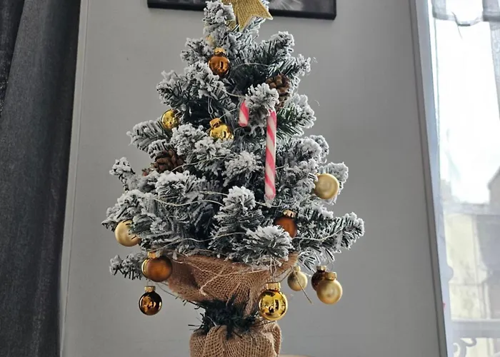 Les Z'amours Appartement *