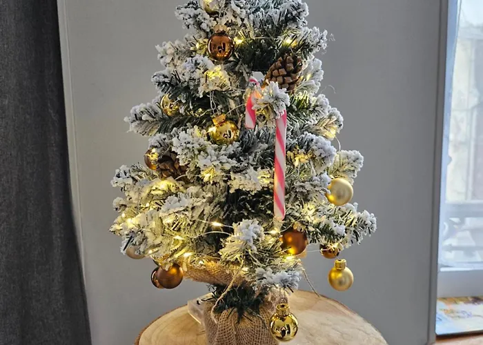 Les Z'amours Appartement